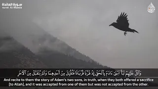 ل ئ ن ب س طت  إ ل ي   ي د ك  ل ت ق ت ل ن ي م ا أ ن ا ب ب اس ط  ي د ي  إ ل ي ك  ل أ ق ت ل ك  ۖ إ ن  ي دندنها