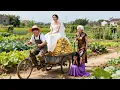Lagu Poor girl Forced to Marry a Poor Farmer，but She Discovered He Was CEO，now she’s spoiled!