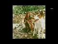TSHA - All Night Long