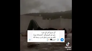 حالات واتس متنوعه تحفه اوي 