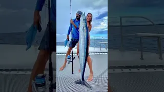 Happy new years! Wishing everyone health, happiness, and prosperity for 2023! #sailing #diving