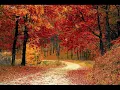 Download Lagu Albinoni, Adagio in G minor