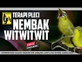 Download Lagu 🔴LIIVE terapi PLECI nembak witwitwit mudah ditiru
