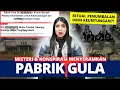 Download Lagu KONSPIRASI \u0026 MISTERI MENGERIKAN PABRIK GULA INDONESIA! | #NERROR