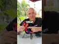 Download Lagu Podiatrist Elliott Yeldham Reviews Damian Lillard's MOVE Game Day Performance Insoles in Singapore