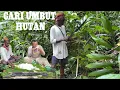 Download Lagu CARI UMBUT DAN MAKAN DI TENGAH HUTAN // AMBIL ROTAN UNTUK BUAT PERANGKAP IKAN