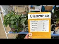 Getting a Wishlist Plant at Lowes Plant Shopping Big Box Store Clearance Deals