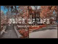 what does the fall quarter at UC Davis look like