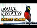 Download Lagu KOLIBRI NINJA GACOR FULL ISIAN TEMBAKAN KASAR TAJAM COCOK BUAT MASTERAN KONIN BAHAN IJOAN-DEWASA