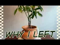 Is My Plant Collection Enough for YouTube