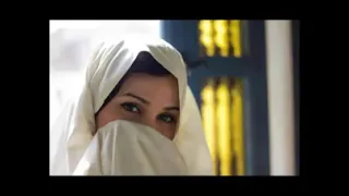 زمزامات كاتشب مايونز هريسة دندنها