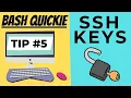 Quickly Setup SSH Keys