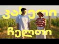 Download Lagu დღეს მხოლოდ ვსვამთ! 17 წლის საფერავი, კახეთი, ჩელთის ტერუარი