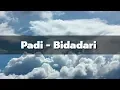 Padi - Bidadari | Lyrics