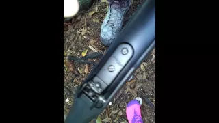 Ruger with tsr100 tech sights