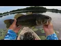 Fishing an MN lake that has only surveyed one bass