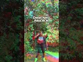 Tutorial Praise on Go-Canton Jones with previews 