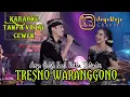 Download Lagu Tresno Waranggono - Karaoke Tanpa Vocal CEWEK - Niken salindry feat Arya galih