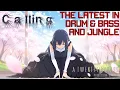Download Lagu Calling  - DJW