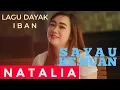 Download Lagu Sayau Ngau Nuan (Natalia) Lagu Dayak Iban