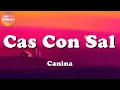 🎵 Canina - Cas Con Sal (Letras\Lyric)