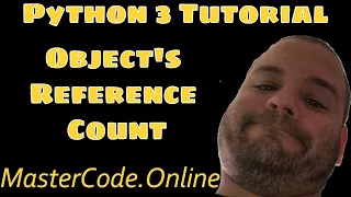 What Is The Object s Reference Count in Python 3