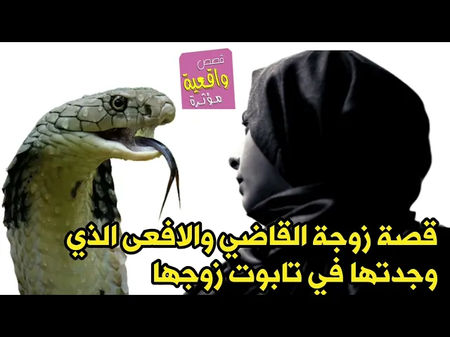 ⁣قصة واقعية - قصة زوجة القاضي والافعى الذي وجدتها في تابوت زوجها