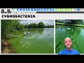 8 5 Eutrophication