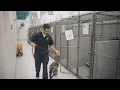 Careers Start Here Animal Services Kennel Worker