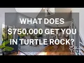Spectacular TurnKey Turtle Rock Home in Irvine