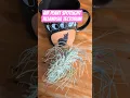 Download Lagu Air Plant Spotlight Tillandsia tectorum #airplant #tillandsia #tillandsiatectorum #plants #plantcare