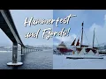 Ke Kutub Utara Norwegia! Hammerfest \u0026 Fjord!