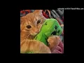 Download Lagu Doodle X Touch - Zachz Winner, KATSEYE mashup