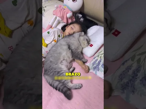 🐾🐱🥰 ¡Tiene que dormir abrazada al brazo de su hermana! 💕 #GatosTiernos #Mascotas