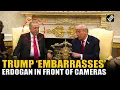 Download Lagu Viraal! Trump haalt 'verkiezingsfraude' aan en maakt Erdogan voor de camera's belachelijk.