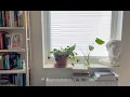 Download Lagu My simple Nordic city life 🐶
