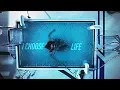 Raven Reyes I Choose Life