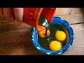 Download Lagu Food That Time Forgot: “Coffee Eggs”