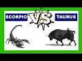 Scorpio vs Taurus Who Is The Strongest Zodiac Sign