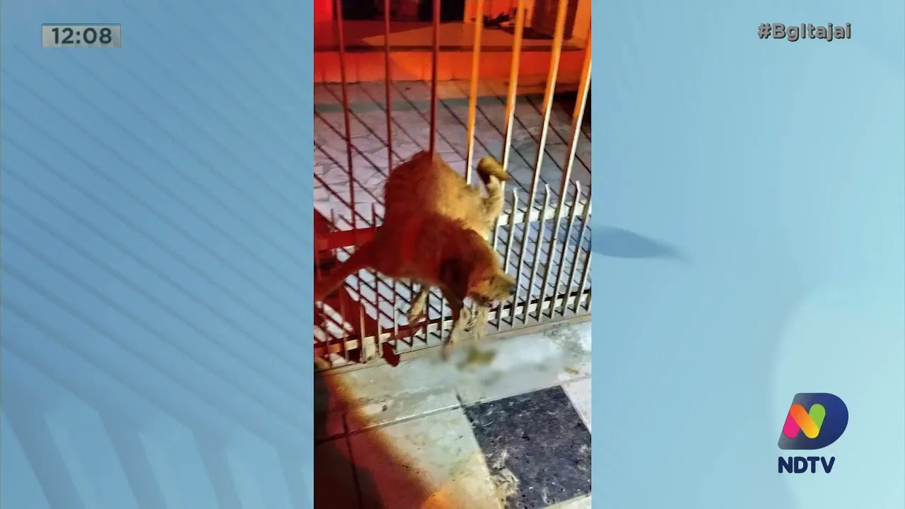 Giro de ocorrências da região