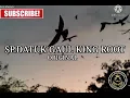Download Lagu SP.DATUK GAUL KING ROOT ORIGINAL