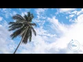 Download Lagu Cody G. - Ukulele And Chill