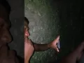 Download Lagu maun ne Haruka Nia doben atu kaer bibi 😂😂😂manu