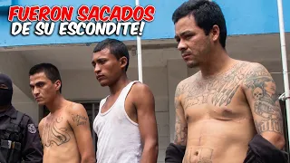 🚨🔥 ¡Cayó “El Rata”! La PNC irrumpió en su escondite
