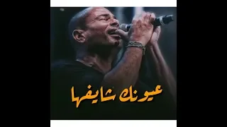 الهضبه عمرو دياب   عيونك شايفها    وحاسس ان انا عارفها   حاله واتس رومانسيه   دندنها