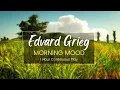 Download Lagu Morning Mood by Edvard Grieg | 1 Hour Continuous Play