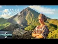 Download Lagu Txan di Djarfogu
