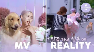 Download BLACKPINK - ‘Ice Cream (with Selena Gomez)’ -  MV vs REALITY MP3