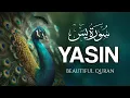 Download Lagu Surah Yasin (Yaseen) سورة يس | Amazing Voice Quran Recitation | Zikrullah TV