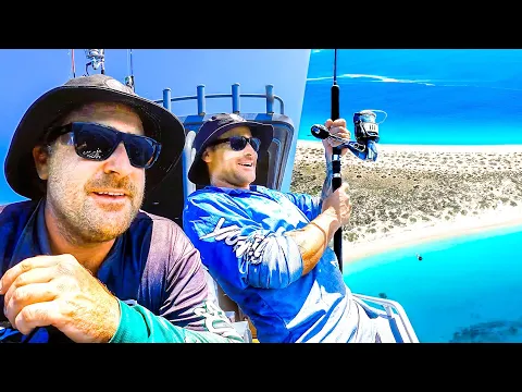 Download MP3 Deep Sea Fishing Challenge JIG VS BAIT With My Brother (Tiger Shark & Dead Whale) - Ep 289